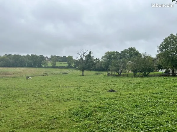 Terrain 1 178 m² Boisseuil 