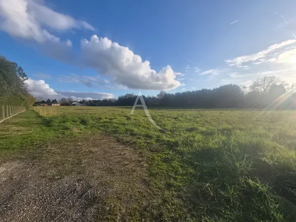 Terrain constructible - Villeneuve-de-Marsan - 1306 m² 