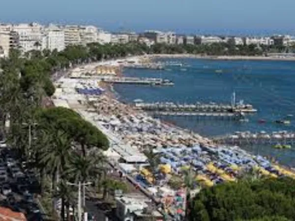 CANNES BANANE 