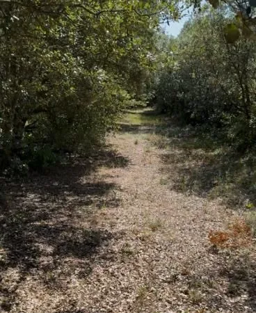 Terrain 1 143 m² Montsegur Sur Lauzon 