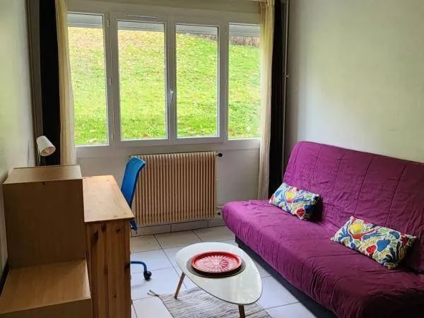 Studio 1 pièce 17 m² 
