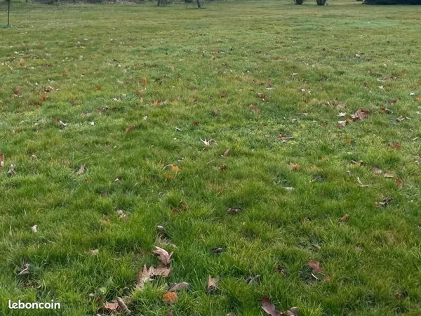 Terrain 1 022 m² Saint Cyr Sur Menthon 