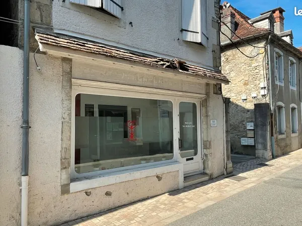LOCAL COMMERCIAL ou PROFESSIONNEL 