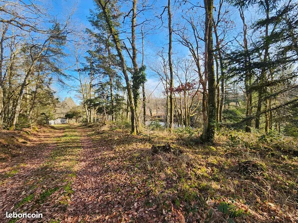 Terrain 12140 m² SAINT HILAIRE LES PLACES 