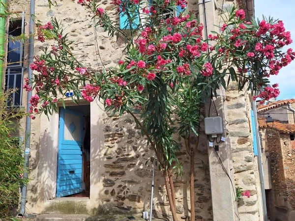 Maison 3 pièces 45 m² 