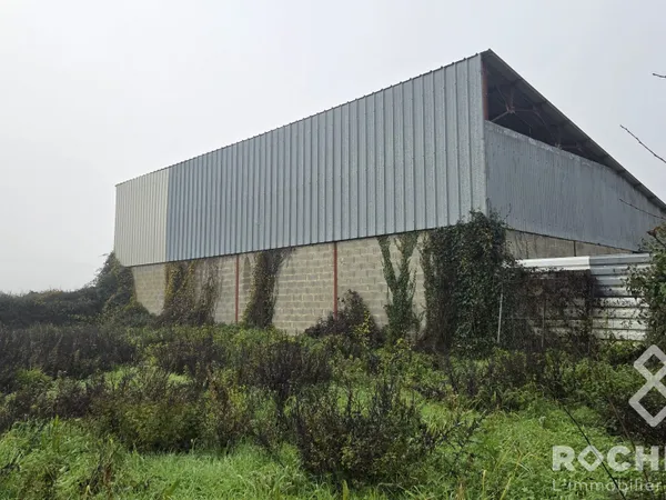 Immeuble à vendre Paillé 