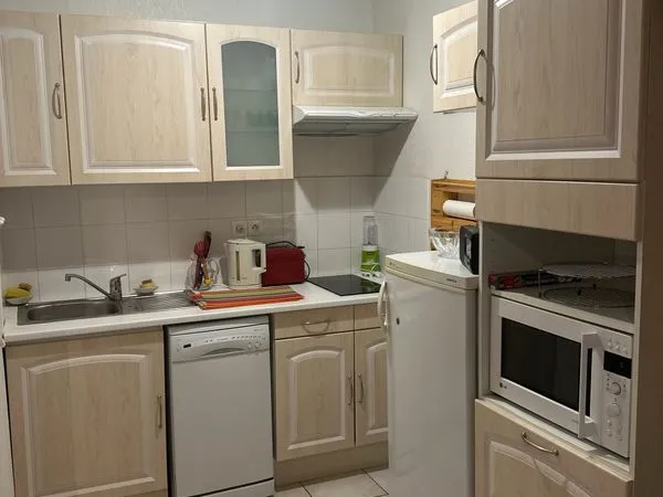Location appartement T2 meublé de 41 m², terrasse,parking 