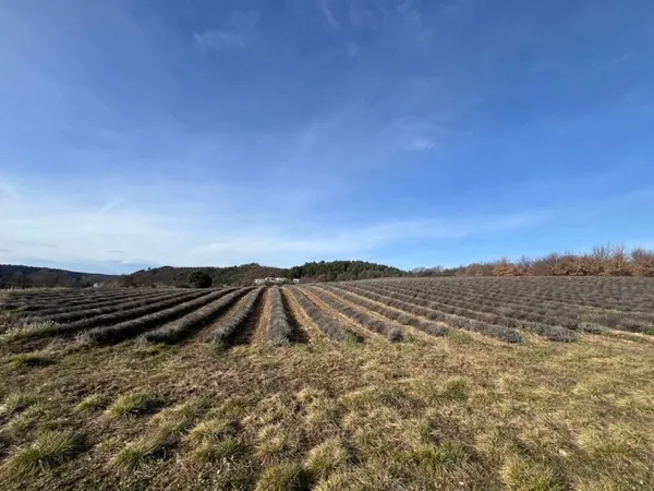 Terrain 641 m² 