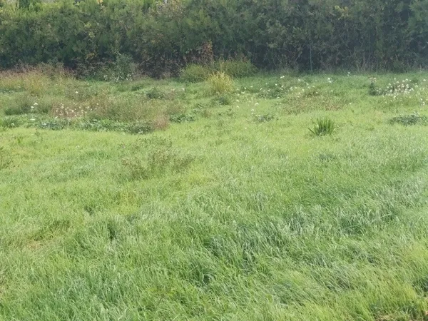 Terrain 651 m² 