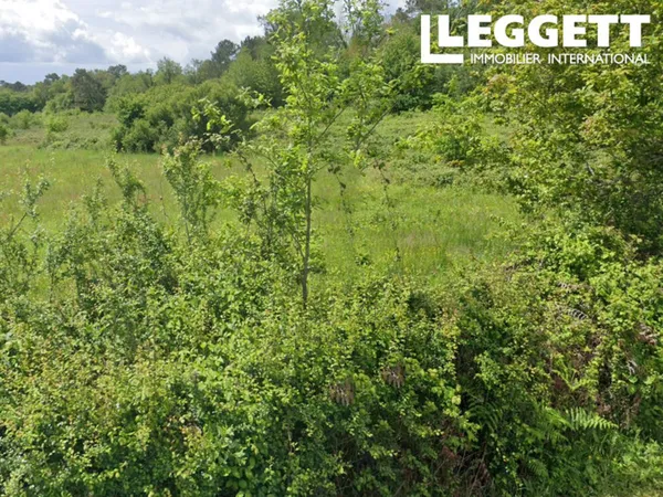 3,3584 hectares de terres agricoles à vendre dans une commune calme 
