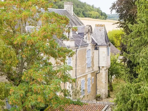 Pussigny - INDRE-ET-LOIRE - Charmant manoir du XVIIe siècle à ve 