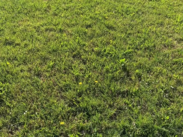 Terrain 616 m² 