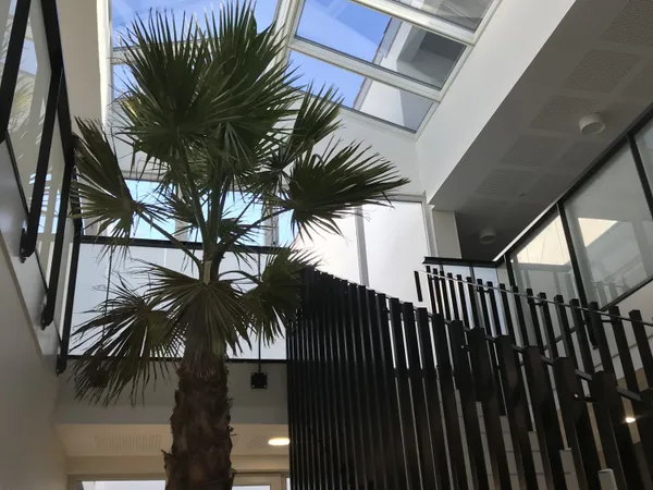 Appartement à louer TOULOUSE 