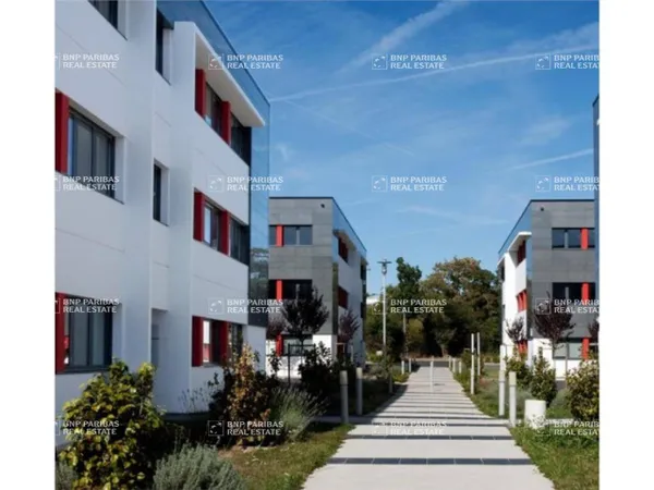 Bureaux 224 m² 