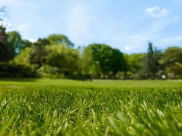 Terrain 400 m² 