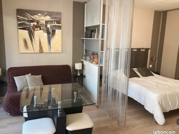 Studio centre ville proche place de Verdun avec terrasse et jardin privatif 
