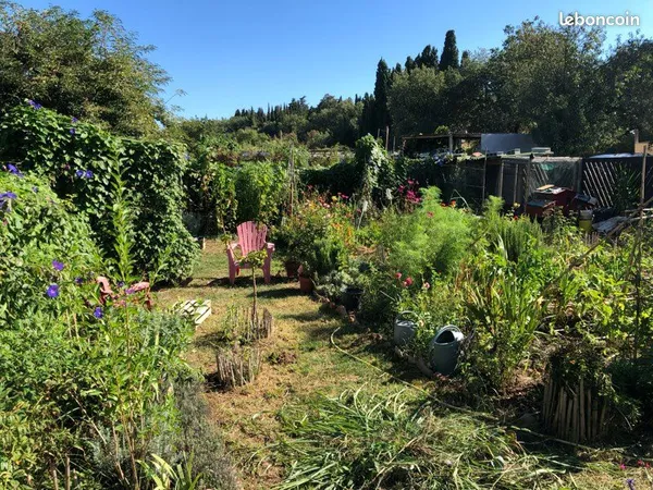 Jardin potager 