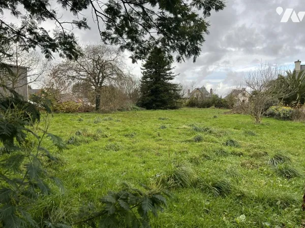 Terrain 2989 m² 