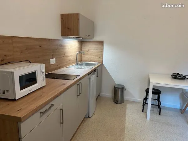 A louer Centre-ville/Boucle - Grand studio meublé avec chambre séparée. 29m2 