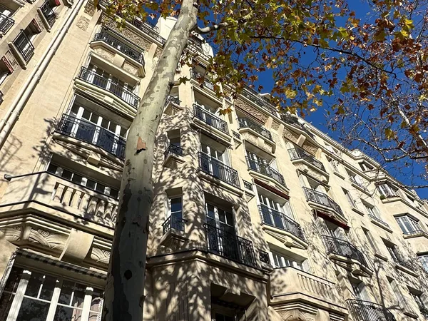 Vends appartement familial 