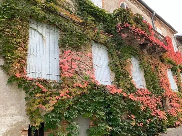 Hôtel particulier 13 pièces 429 m² 