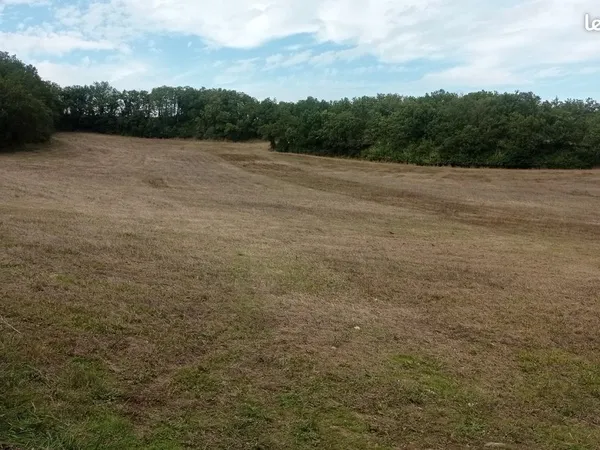 Terres agricoles pour céréales, foin, arbres .... Superficie : 52367 m2 
