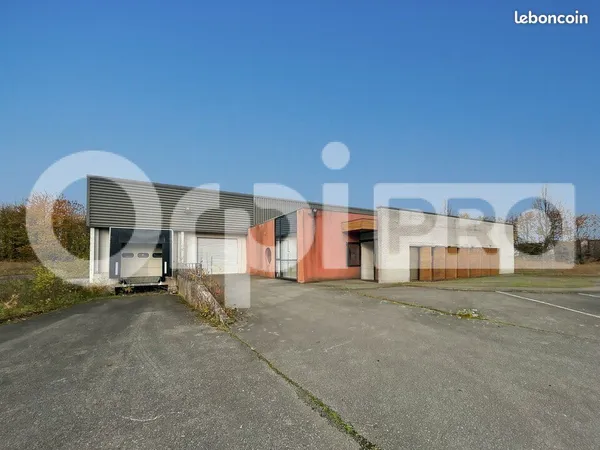 Local d'activité 1 053 m² 