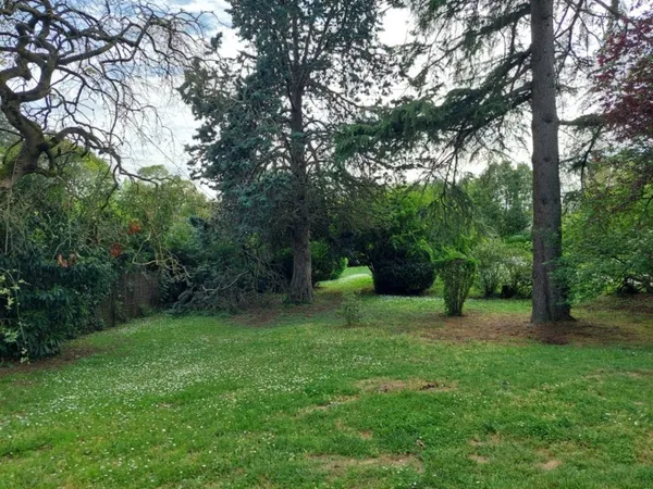 Terrain 559 m² 