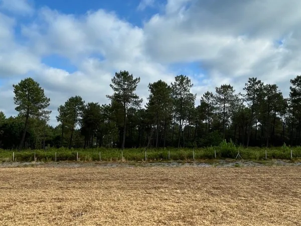 Terrain 485 m² Parentis En Born 
