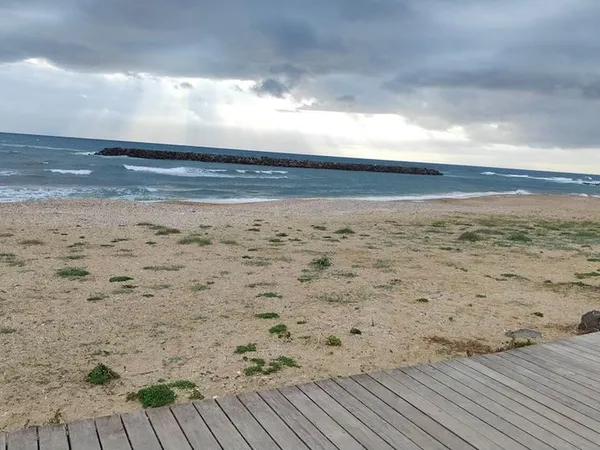 LE CAP D'AGDE - Situé devant la mer! plage du môle, rez de jardin appartement 2 pièces 