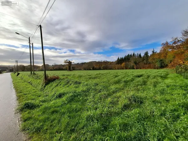 Terrain à bâtir 4893 m² 