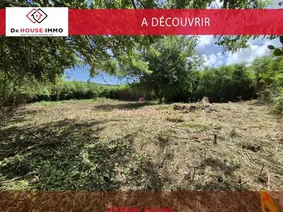 EXCEPTIONNEL - SUD MARTINIQUE - BEAU TERRAIN PLAT BORNE, Hors Lotissement - 30% d'emprise au sol - 