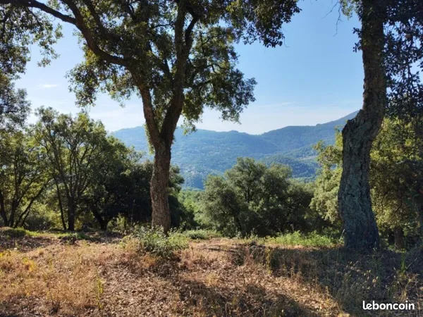 Terrain plat 1500M2 dans un domaine residentiel 