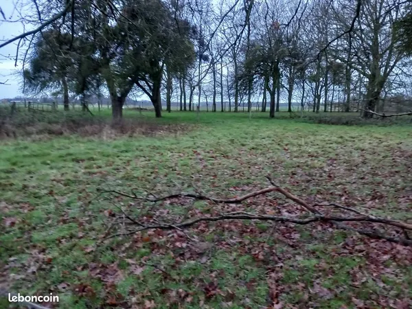 3 terrains à bâtir 