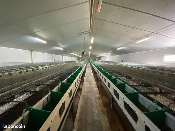 Bien agricole 1193 m² La Baconnière 