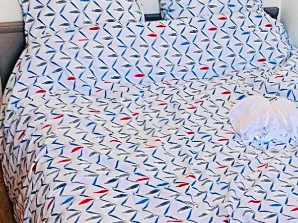 CHAMBRE MEUBLÉE - NICE CENTRE avec WIFI 