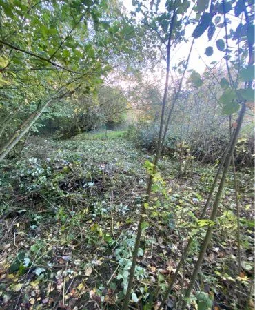 Grand terrain nature 3 552 m² 