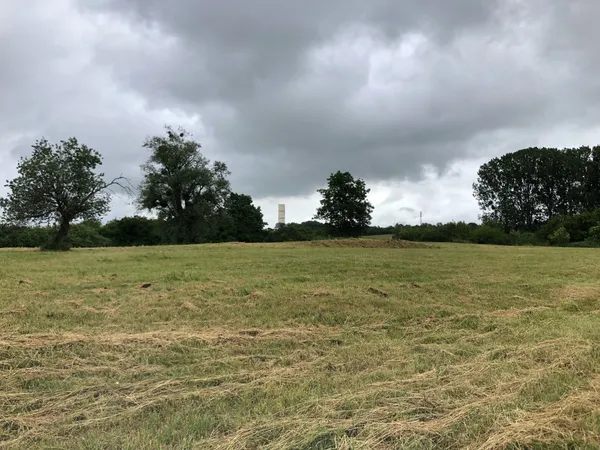 MARLY Terrain de loisirs non constructiblede 80ares 