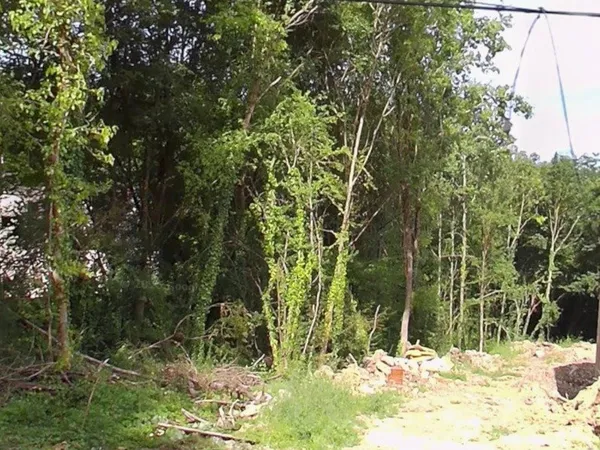 Terrain 1004 m² 