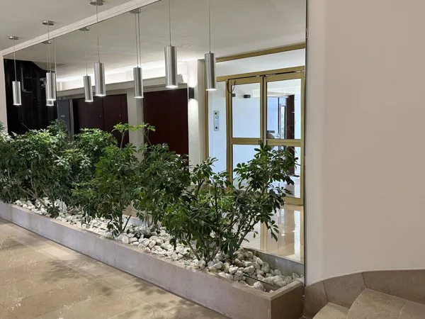 Studio 1 pièce 11 m² 