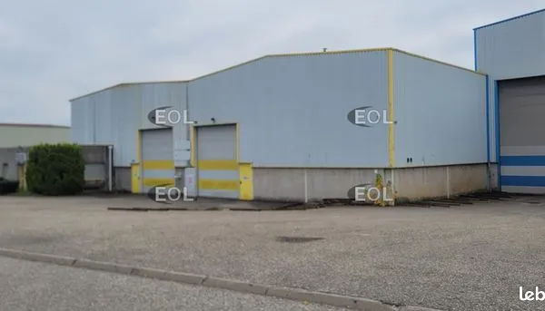Local commercial 1910 m² 
