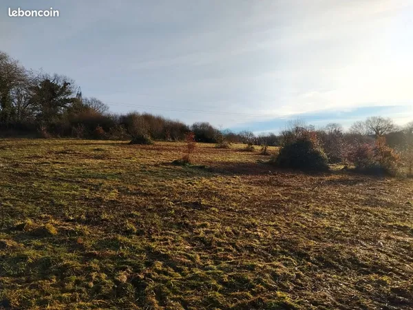 Terrain 5H avec forêt,source,et ruisseau 