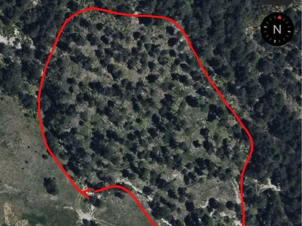 Terrain forestier 13990 m2 