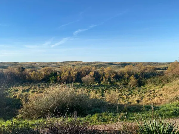 Terrain 624 m² 