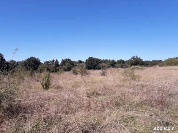 Terrain 1 100 m² Prechac 
