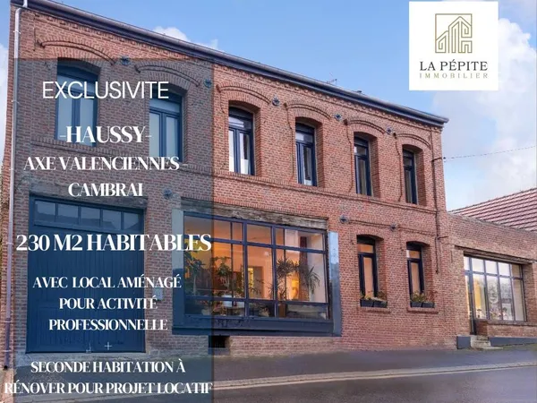 Maison 9 pièces 230 m² 