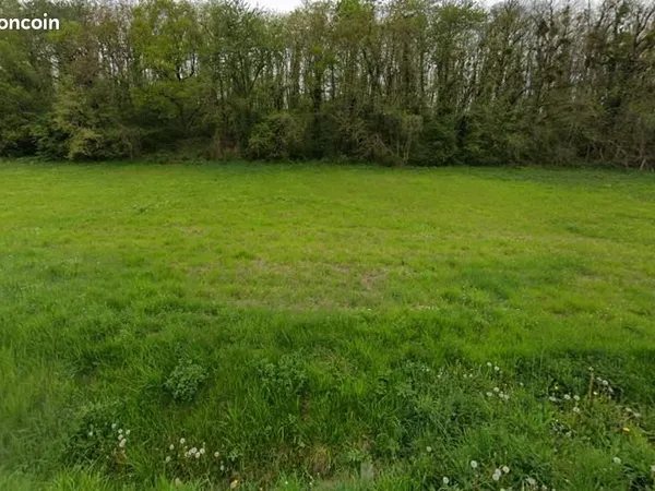Terrain 7 165 m² Saint Aignan 