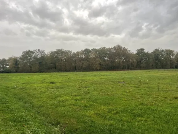 Terrain 1300 m² 