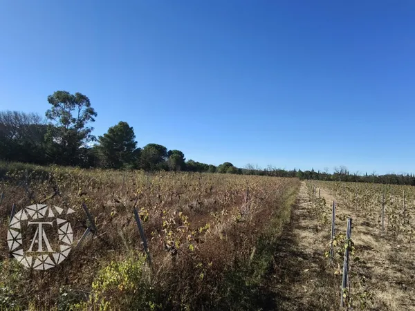 Terrain agricole - 4 247 m2 