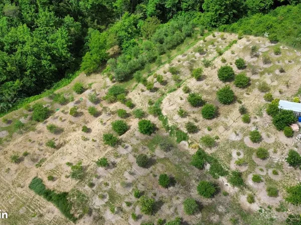 Terrain 9000 m² Vence 